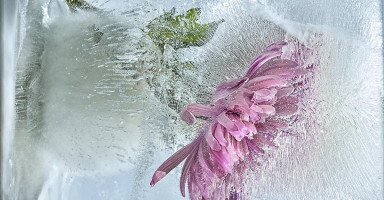 متزوج منذ 6 اشهر واقرف من زوجتي كثيراً، ما الحل؟